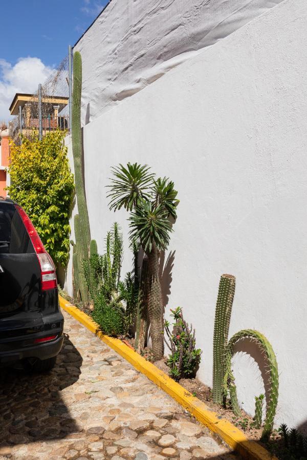 شقة Siento Oaxaca المظهر الخارجي الصورة